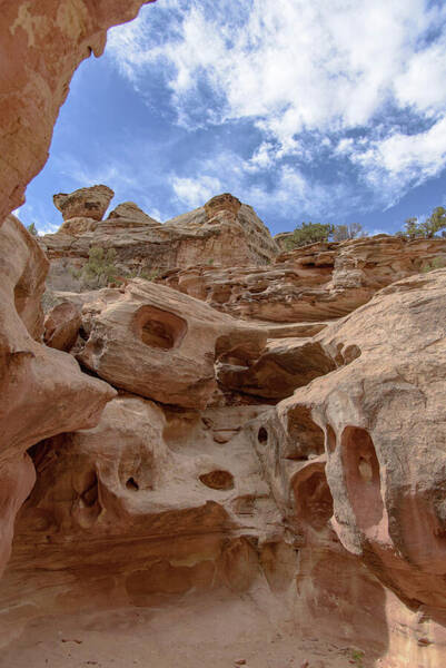 Majestic Rock Formations In Capitol Reef National Park Poster