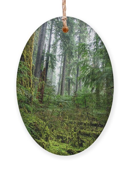 Misty Forest Silhouettes In Olympic National Park Ornament