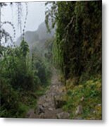 Misty Forest Pathway On The Inca Trail Metal Print