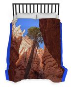 Tree Reaches Skyward In Bryce Canyon National Park Duvet Cover