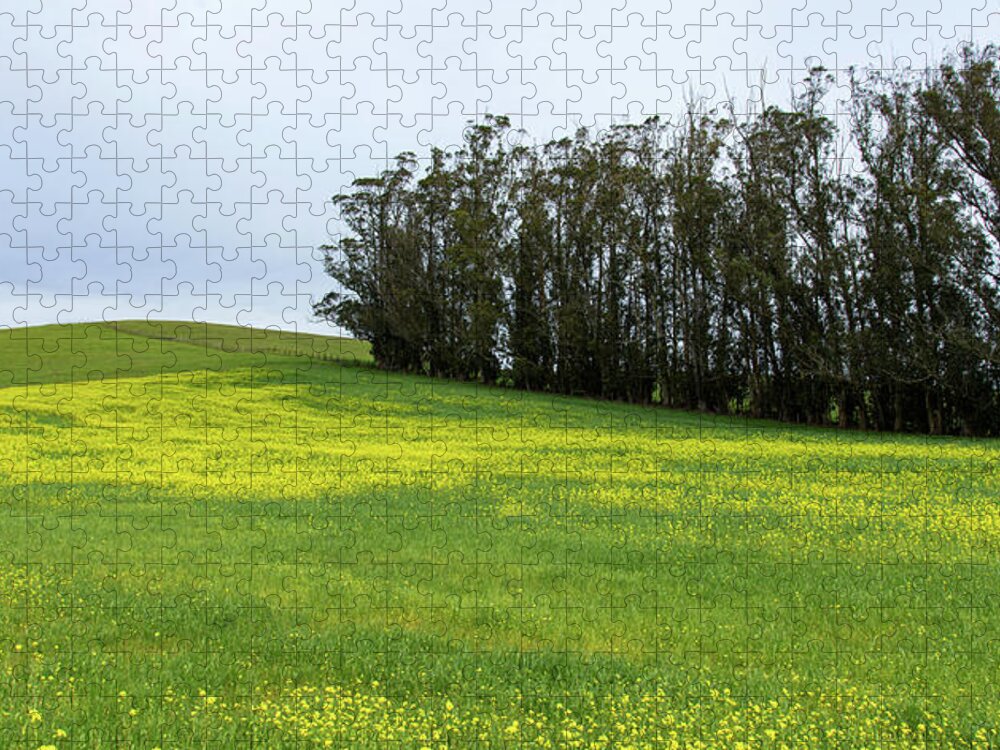 Rolling Hills With Blooming Wildflowers Jigsaw Puzzle