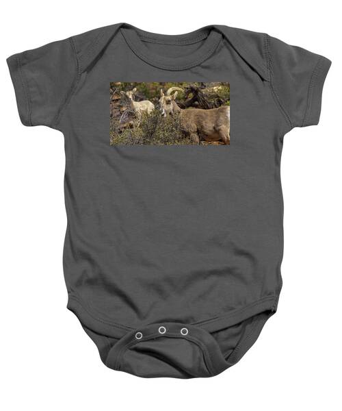 Bighorn Sheep in Zion National Park Baby One-Piece by Brandon Wichmann
