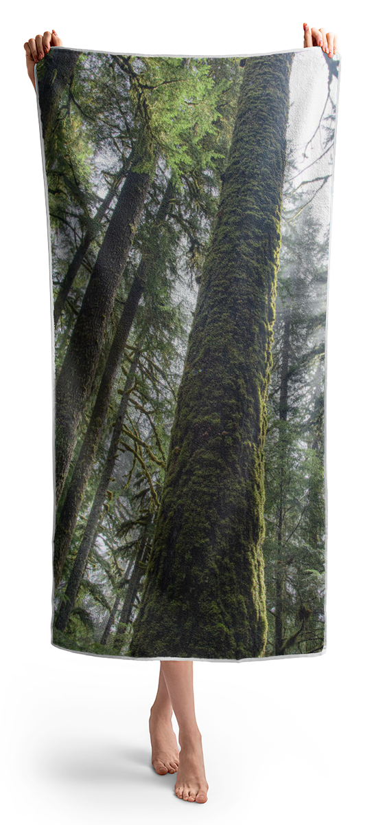 Majestic Forest Canopy In Olympic National Park Beach Towel