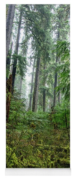 Misty Forest Silhouettes In Olympic National Park Yoga Mat