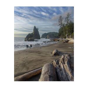 Rugged Coastal Landscape by Brandon Wichmann