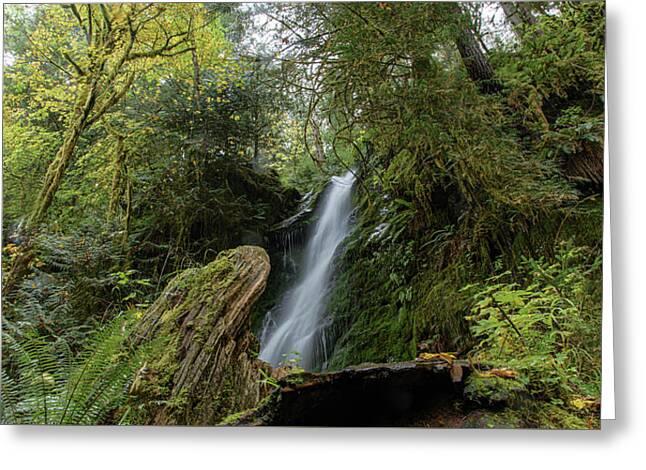 Serene Waterfall in Lush Forest Greeting Card