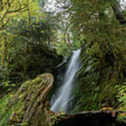 Serene Waterfall in Lush Forest Poster