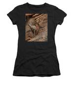 Bighorn Sheep On Rocky Terrain Women's T-Shirt