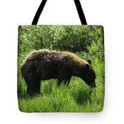 Solitary Bear In Grand Teton National Park Tote Bag