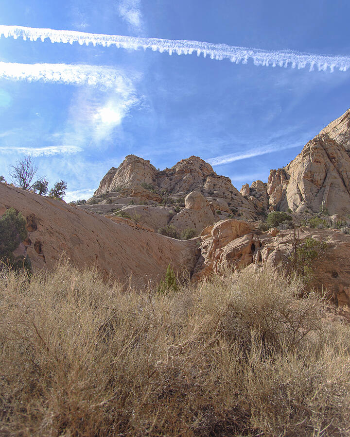 Desert Cliffs in Capitol Reef National Park Photograph by Brandon Wichmann