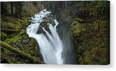 Shop for Serene Canvas Prints