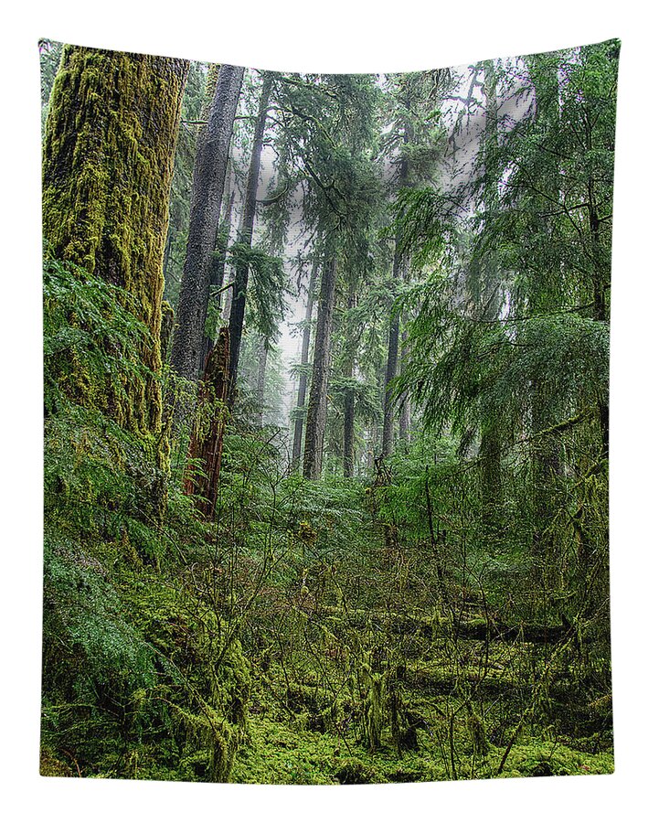 Misty Forest Silhouettes In Olympic National Park Tapestry