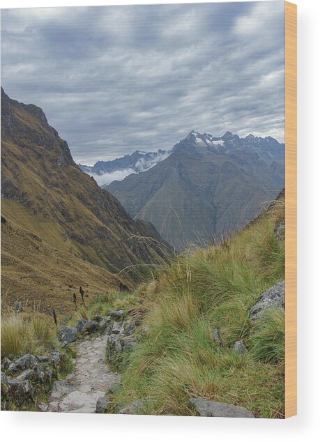 Trail Through Majestic Mountain Landscape To Dead Woman's Pass Wood Print