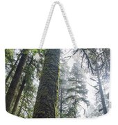 Majestic Forest Canopy In Olympic National Park Weekender Tote Bag
