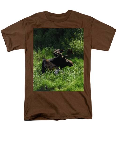 Moose Resting In Sunlit Meadow In Grand Teton National Park Men's T-Shirt  (Regular Fit)