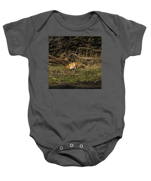 Peaceful Fox in Sunlit Meadow Baby One-Piece by Brandon Wichmann