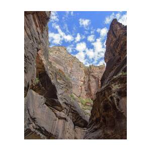 Majestic Canyon Sky View in The Narrows by Brandon Wichmann