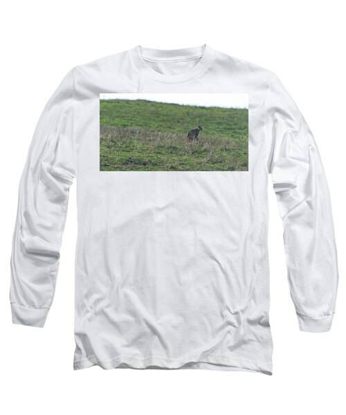 Bobcat in Point Reyes Long Sleeve T-Shirt by Brandon Wichmann