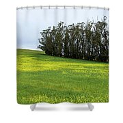 Rolling Hills With Blooming Wildflowers Shower Curtain