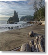 Rugged Coastal Landscape Metal Print