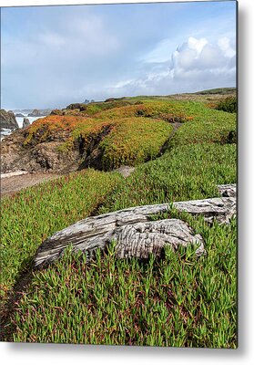 Shop for Vibrant Metal Prints