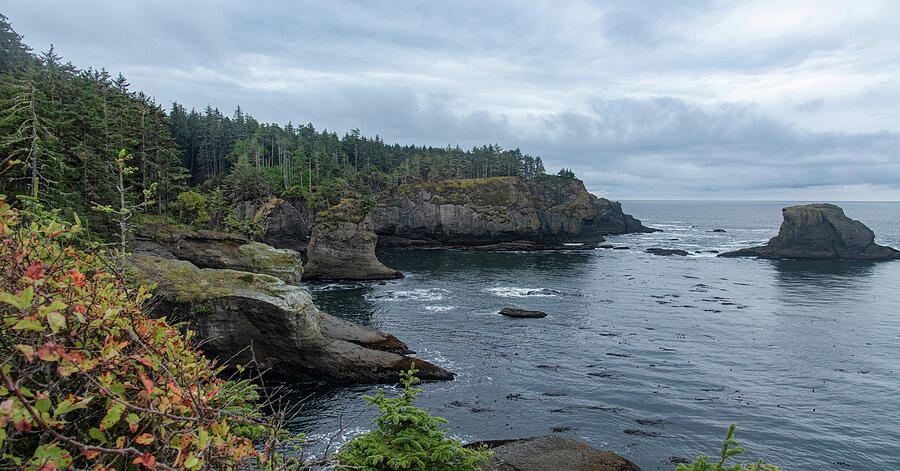 Serene Coastal Cliffs at Dawn Photograph - Serene Coastal Cliffs at Dawn by Brandon Wichmann