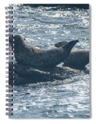 Seals Resting On Rocky Shoreline Spiral Notebook