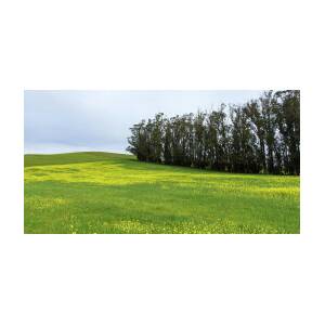 Rolling Hills with Blooming Wildflowers by Brandon Wichmann Rolling Hills with Blooming Wildflowers by Brandon Wichmann