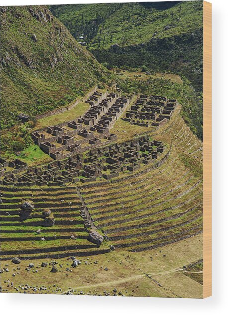 Ancient Terraces And Ruins In Andes Mountains Wood Print