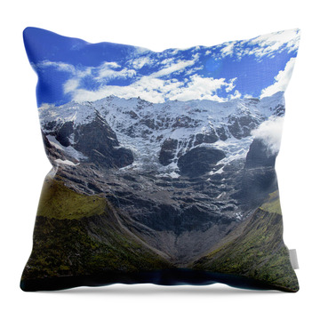 Brandon Wichmann Throw Pillows