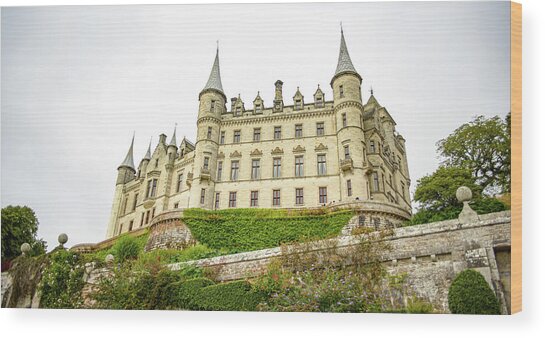 Majestic Castle On Hill Wood Print