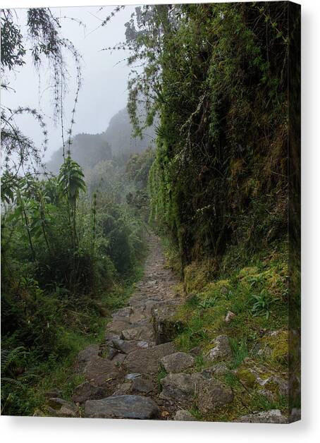 Misty Forest Pathway on the Inca Trail Canvas Art Print by Brandon Wichmann