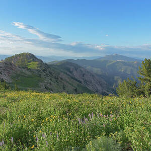 Mountain View with Wildflowers by Brandon Wichmann