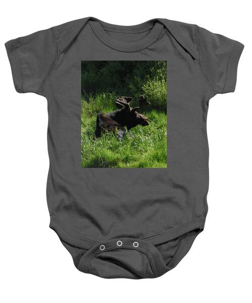 Moose Resting In Sunlit Meadow In Grand Teton National Park Baby One-Piece