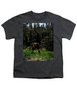 Elk Grazing In A Sunlit Forest In Grand Teton National Park Youth T-Shirt