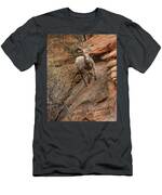 Big Horn Sheep Agile Descent In Zion National Park T-Shirt