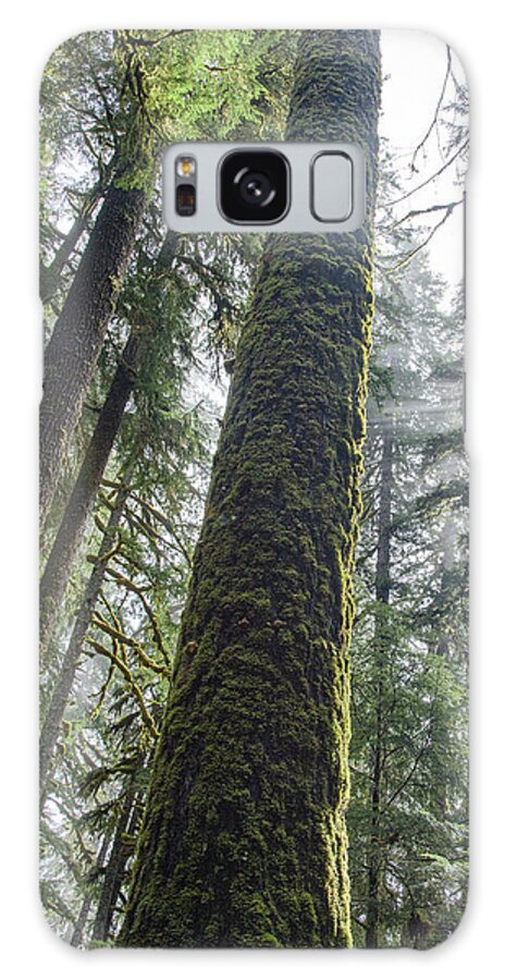 Majestic Forest Canopy In Olympic National Park Galaxy Case