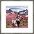 Peruvian Scene With Red Valley And Llama Framed Print