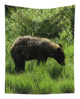 Grand Teton National Park Tapestries