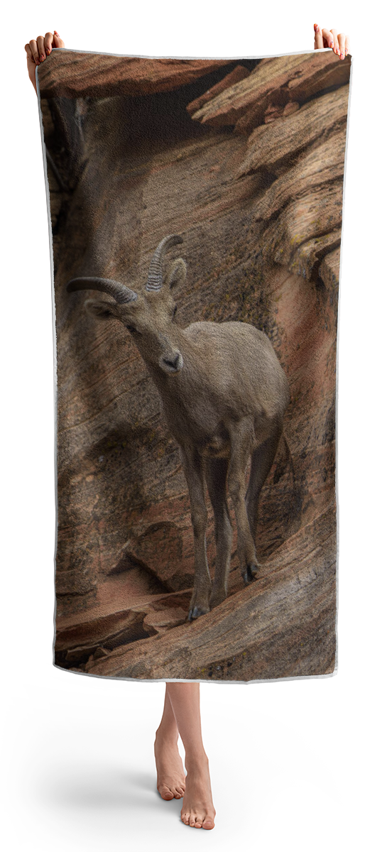 Bighorn Sheep On Rocky Terrain Beach Towel