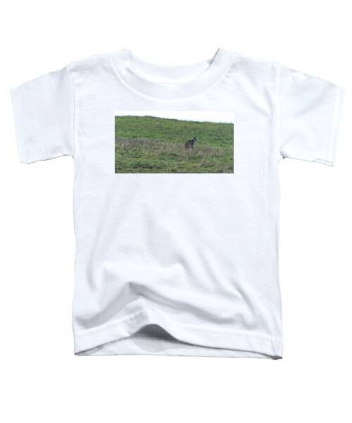 Bobcat in Point Reyes Toddler T-Shirt by Brandon Wichmann