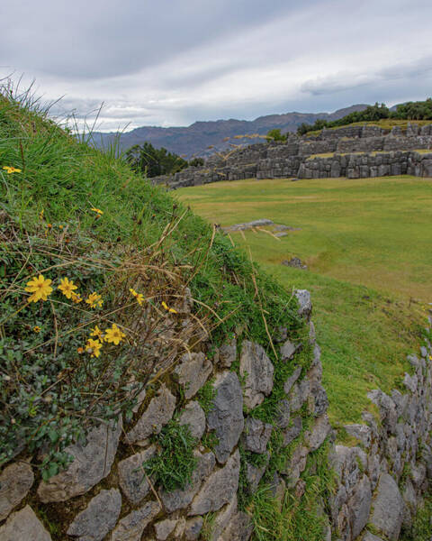 Saqsaywaman In Cusco Peru Poster