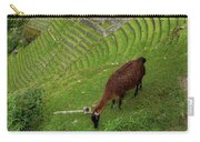 Winay Wayna With Grazing Llama Zip Pouch