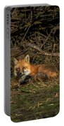 Fox Resting In Sunlit Clearing Portable Battery Charger