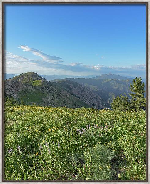 Mountain View with Wildflowers Framed Print