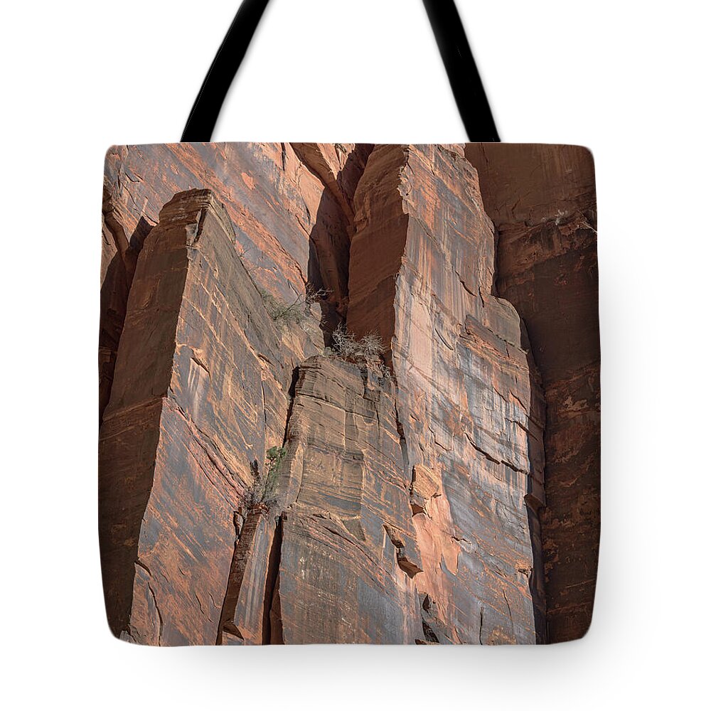 Towering Desert Sandstone Cliffs In Zion National Park Tote Bag