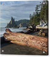 Driftwood on a Pebbled Beach Acrylic Print