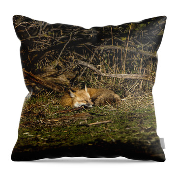 Peaceful Fox In Sunlit Meadow Throw Pillow