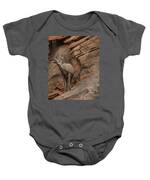 Bighorn Sheep On Rocky Terrain Baby One-Piece