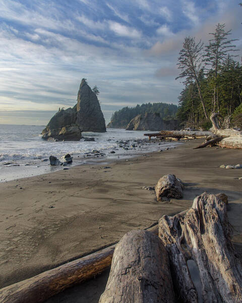 Rugged Coastal Landscape Poster
